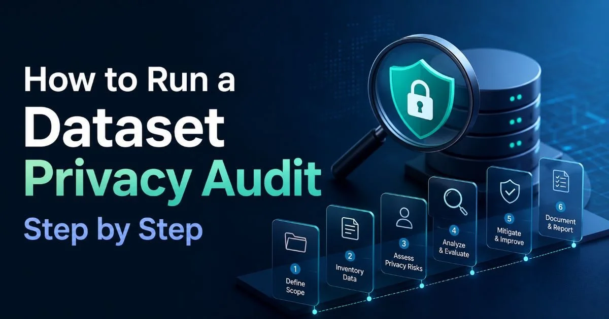 How to Run a Dataset Privacy Audit Step by Step